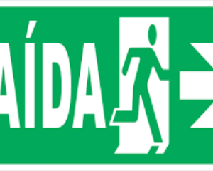 Placa Modelo 4